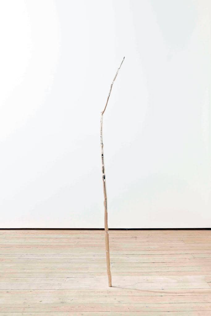 Amy Stephens Birch in Space, 2010